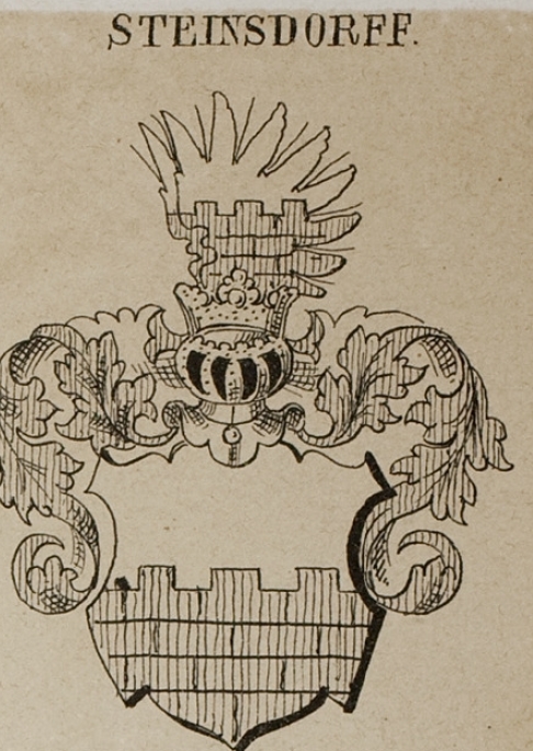 Steinsdorff Coat of Arms / Family Crest 1