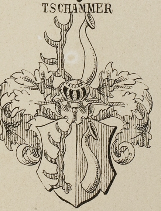 Tschammer Coat of Arms / Family Crest 1