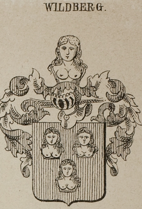 Wildberg Coat of Arms / Family Crest 7