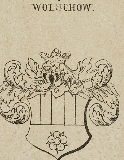 Wolschow Coat of Arms / Family Crest 0