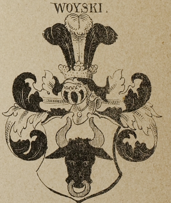 Woyski Coat of Arms / Family Crest 0