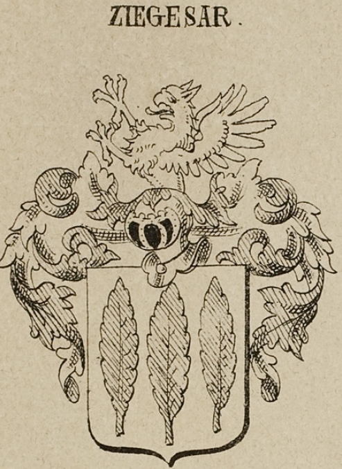 Ziegesar Coat of Arms / Family Crest 4
