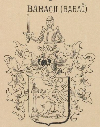 Barich Coat of Arms / Family Crest 0
