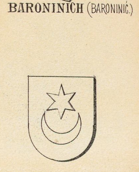 Baroninich Coat of Arms / Family Crest 0