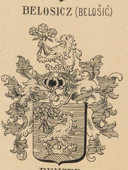 Belosicz Coat of Arms / Family Crest 0