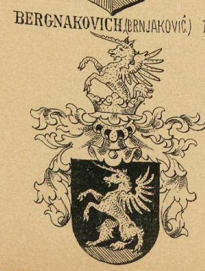 Bergnakovich Coat of Arms / Family Crest 0