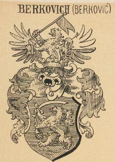 Berkovich Coat of Arms / Family Crest 0