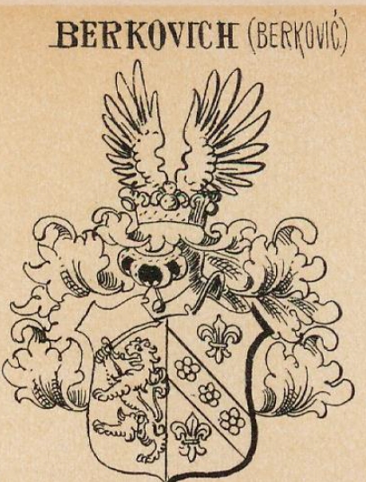 Berkovich Coat of Arms / Family Crest 1