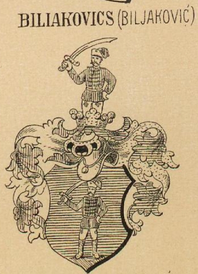 Biliakovics Coat of Arms / Family Crest 0