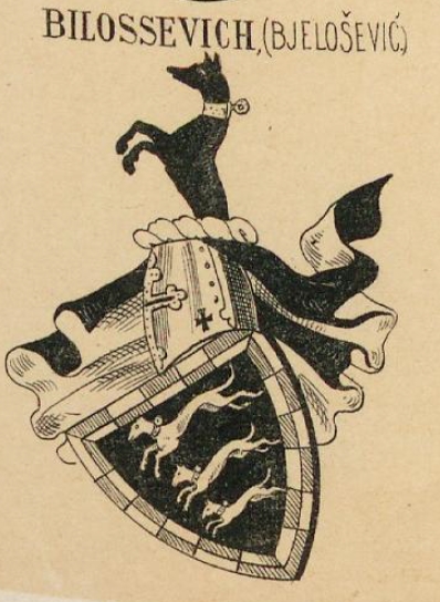 Bilossevich Coat of Arms / Family Crest 0