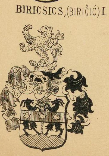 Biricsics Coat of Arms / Family Crest 0