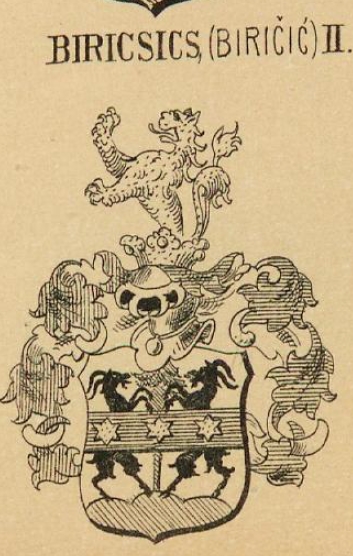 Biricsics Coat of Arms / Family Crest 1