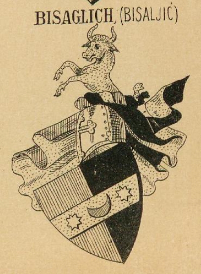Bisaglich Coat of Arms / Family Crest 0