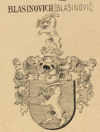 Blasinovich Coat of Arms / Family Crest 0