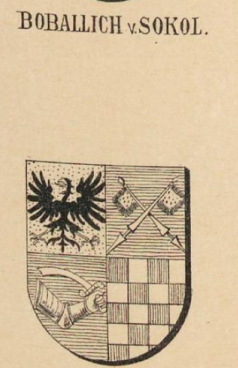 Boballich Coat of Arms / Family Crest 0