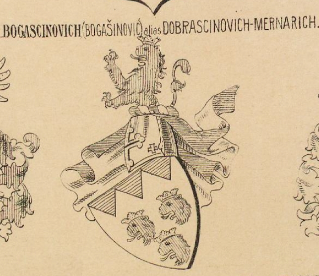 Bogascinovich Coat of Arms / Family Crest 0