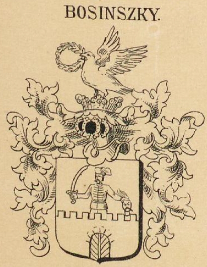 Bosinszky Coat of Arms / Family Crest 0