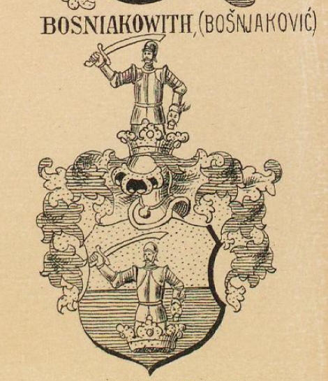 Bosniakowith Coat of Arms / Family Crest 0