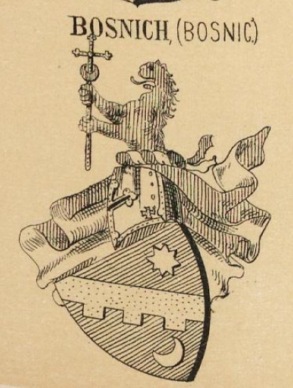 Bosnich Coat of Arms / Family Crest 0