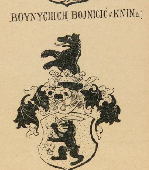 Boynychich Coat of Arms / Family Crest 0