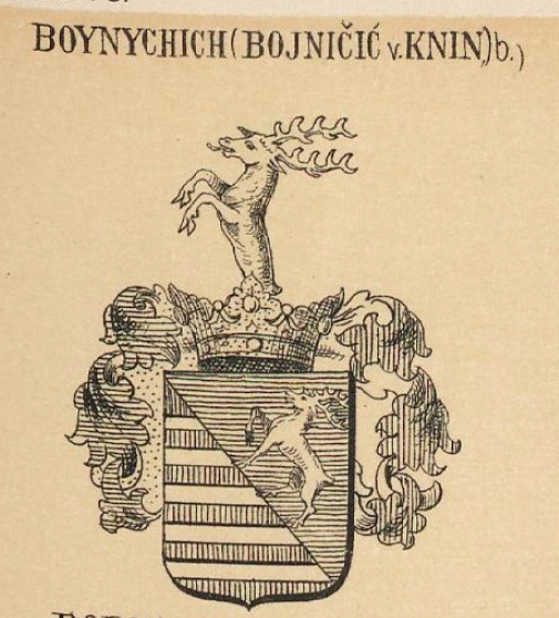 Boynychich Coat of Arms / Family Crest 1