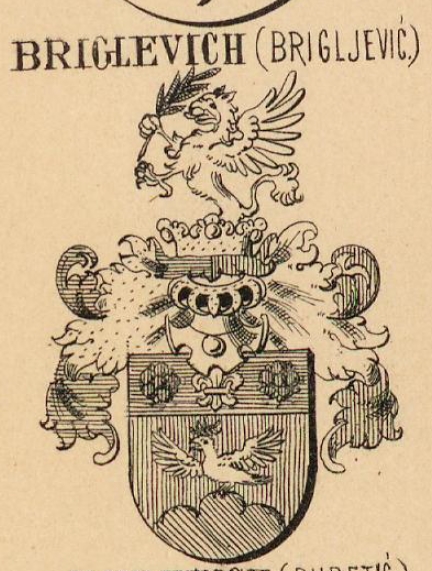 Briglevich Coat of Arms / Family Crest 0