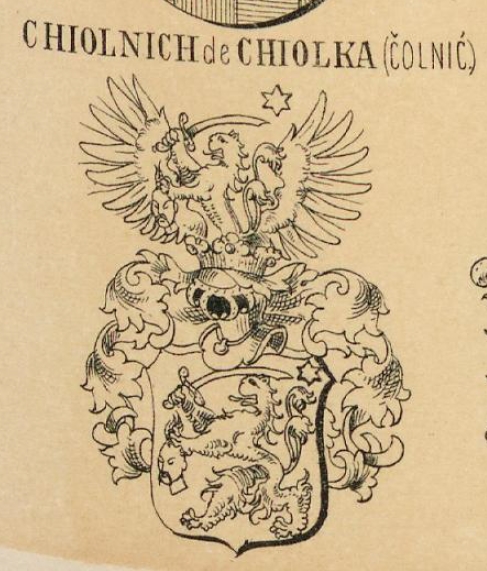 Chiolnich Coat of Arms / Family Crest 0