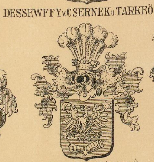 Dessewffy Coat of Arms / Family Crest 0