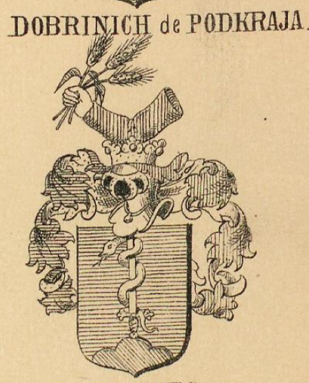 Dobrinich Coat of Arms / Family Crest 0