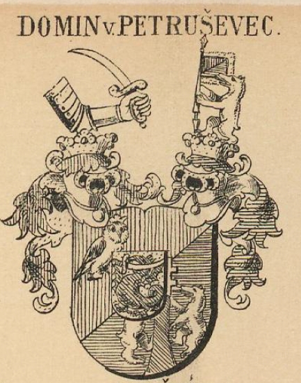 Domin Coat of Arms / Family Crest 0