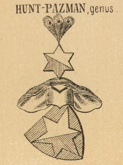 Hunt-Pazman Coat of Arms / Family Crest 0