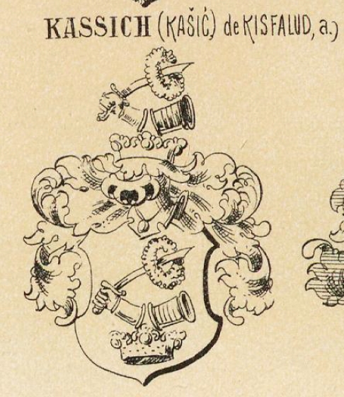 Kassich Coat of Arms / Family Crest 0