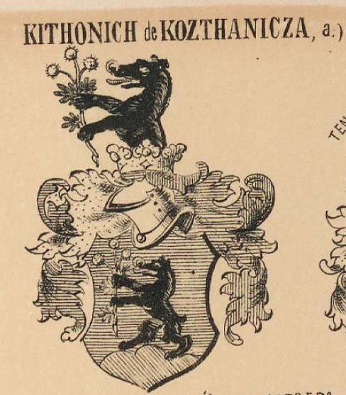 Kithonich Coat of Arms / Family Crest 0
