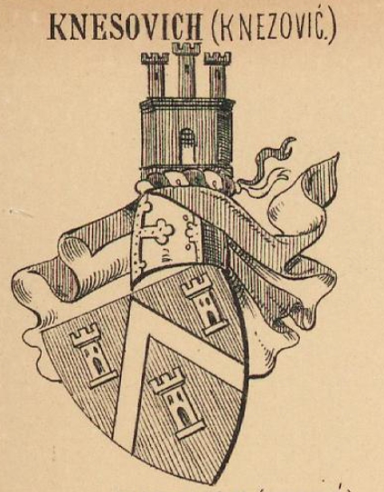 Knesovich Coat of Arms / Family Crest 0