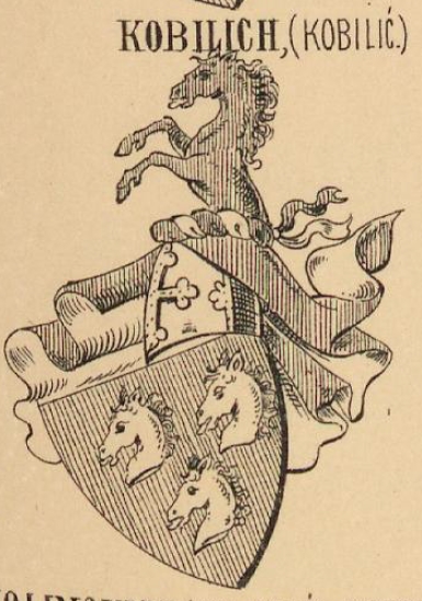 Kobilich Coat of Arms / Family Crest 0