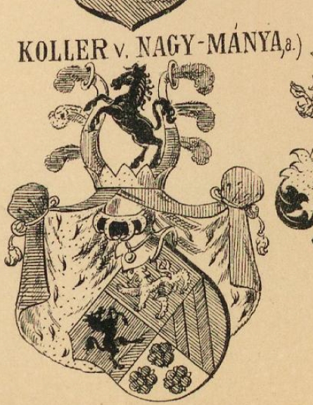Koller Coat of Arms / Family Crest 1