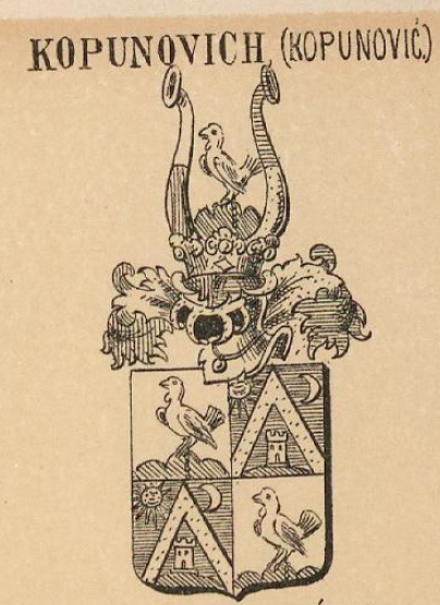 Kopunovich Coat of Arms / Family Crest 0