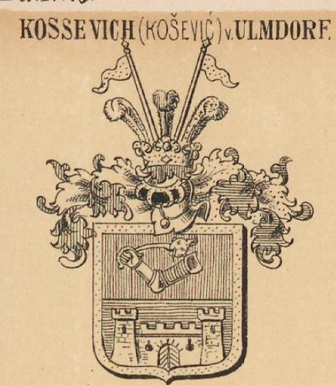 Kossevich Coat of Arms / Family Crest 0