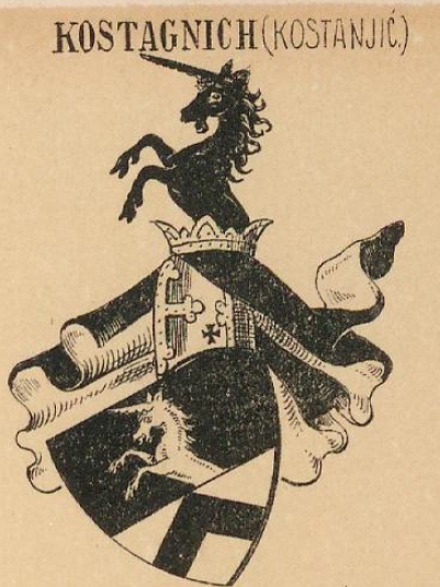 Kostagnich Coat of Arms / Family Crest 0