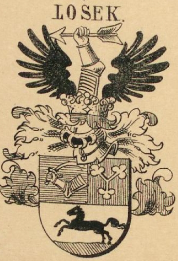 Losek Coat of Arms / Family Crest 0