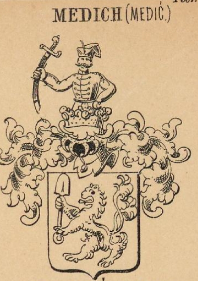 Medich Coat of Arms / Family Crest 0