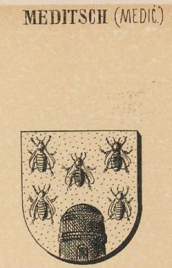 Meditsch Coat of Arms / Family Crest 0