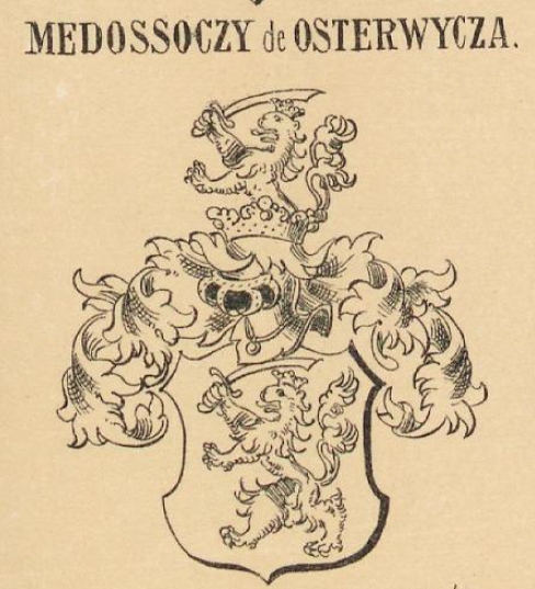 Medossoczy Coat of Arms / Family Crest 0
