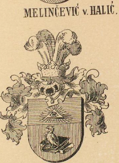 Melincevic Coat of Arms / Family Crest 0