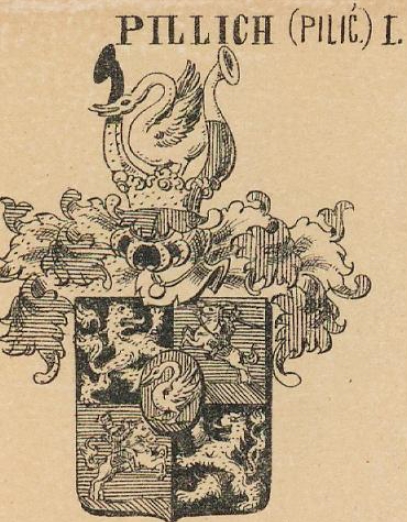 Pillich Coat of Arms / Family Crest 0