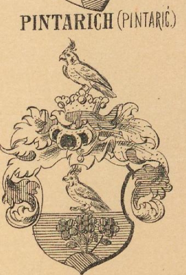 Pintarich Coat of Arms / Family Crest 0