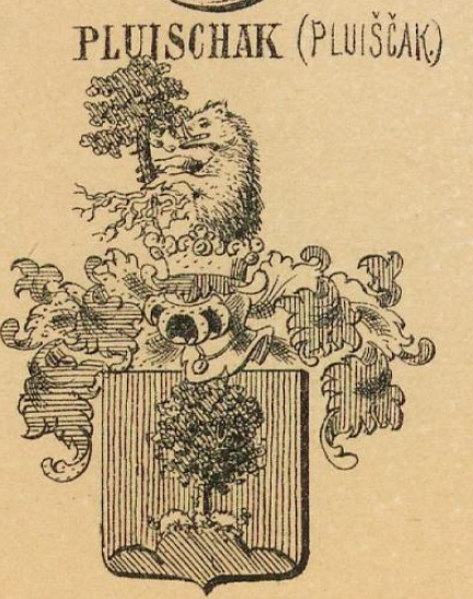 Pluischak Coat of Arms / Family Crest 0