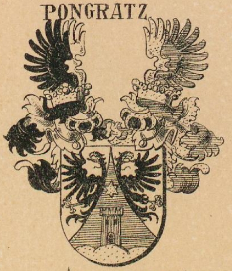 Pongratz Coat of Arms / Family Crest 0