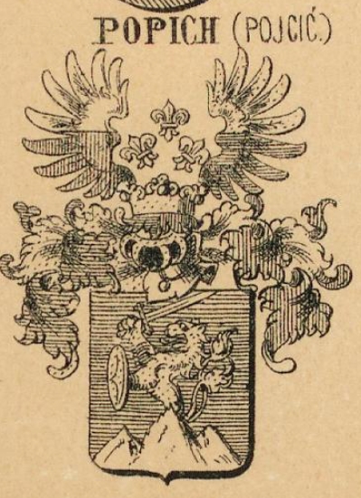 Popich Coat of Arms / Family Crest 0