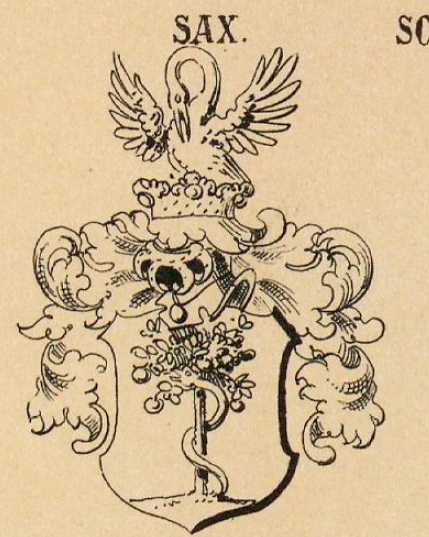 Sax Coat of Arms / Family Crest 0